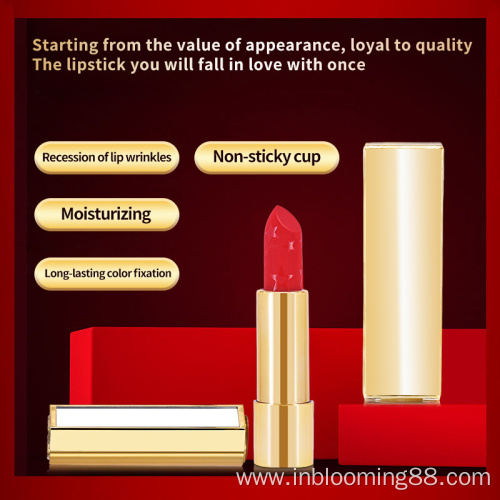 Custom Waterproof Matte Velvet Lipstick Private Label